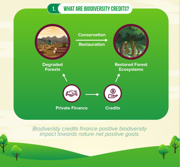 uk-and-france-collaborate-to-upscale-biodiversity-credits-market