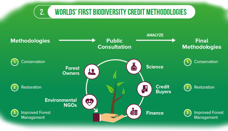 Biodiversity Credits